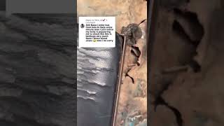 look at what somebody saw inside a bus in Lagos