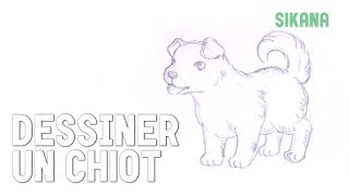 Chiot - Pe Chien Dessin