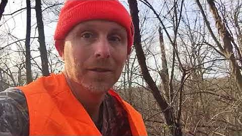 ri2.1 In the woods with Schama🙂