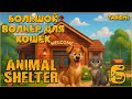Animal Shelter #6 Большой вольер для кошек