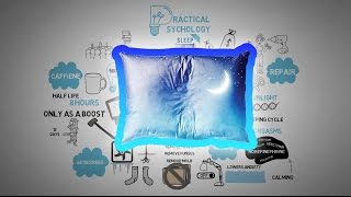 Sleep Smarter and Cure Insomnia - Shawn Stevenson - Animated Book Review