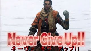 The Sekiro Experience