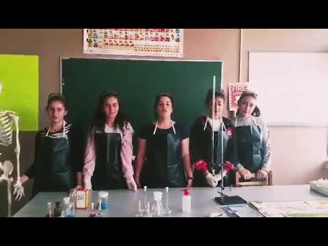 98 შინდისის საჯ  სკ  გუნდი იმპულსი