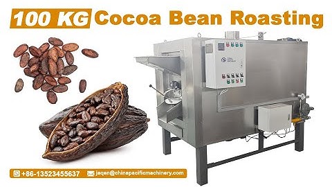Cocoa Bean Roaster Machine|Cocoa Bean Roasting Machine Price 100-150 KG/H|Cocoa Roaster Machine