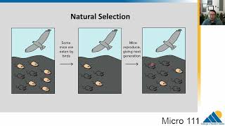 MICRO 111 Ch9.3 Natural Selection