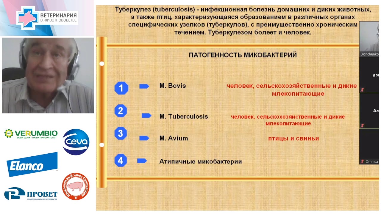 Александр Донченко. О диагностике, профилактике и ликвидации туберкулеза КРС