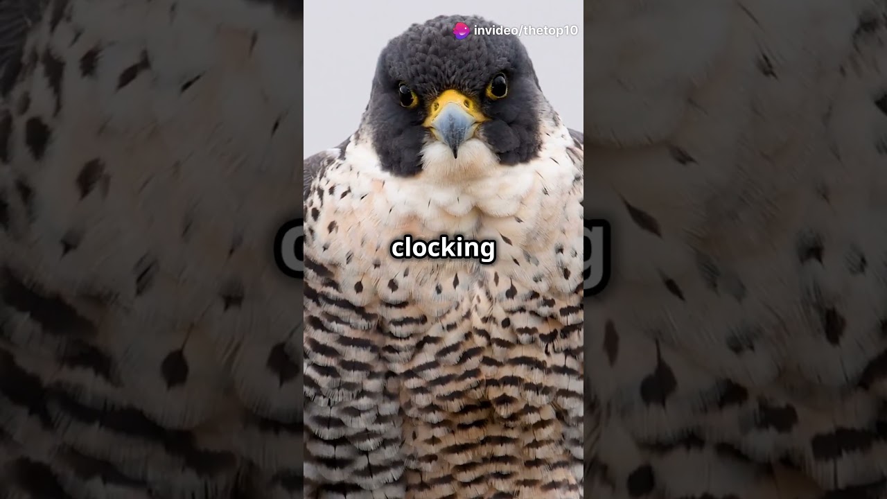 🌍🐆 Top 10 Most Beautiful Animals: Nature's Stunning Masterpieces 🦋🌿  