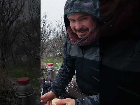 Video: Naravni rezervat Krymsky: meje, pregledi izletov