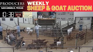 LIVE Sheep & Goat Auction – Producers Livestock | San Angelo, TX | November 4, 2025
