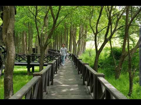 Capa de [TJ노래방라운지] 행복의나라로 - 이현우