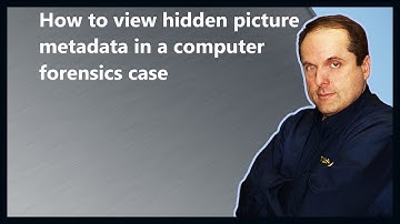 How to view hidden picture metadata in a computer forensics case