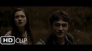 Fight At The Burrow | Harry Potter and the Half-Blood Prince