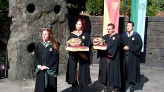 The  Wizarding World of Harry Potter Universal Studios Flori