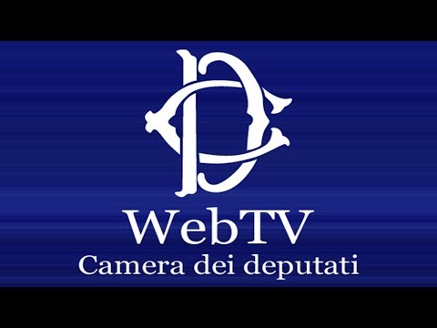webtv.camera.it - Presentazione Relazione Annuale 2017 Inail - (27-06-2018)