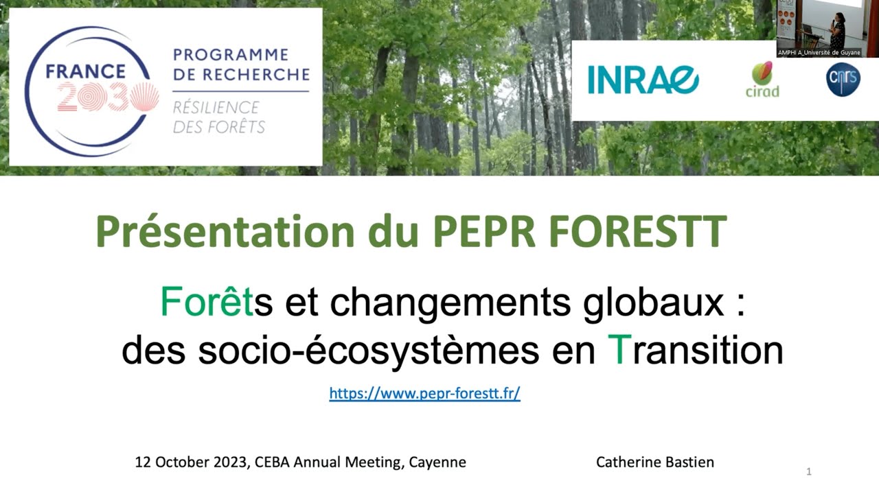 JA 2023 : Catherine BASTIEN - Presentation of the PEPR FORESTT - YouTube