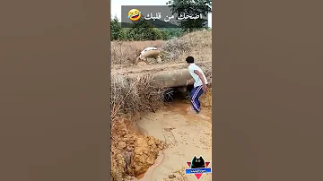 صراع مضحك جدا مواقف مضحكة مقاطع مضحكة فيديوهات مضحكة دموع الكوميديا 