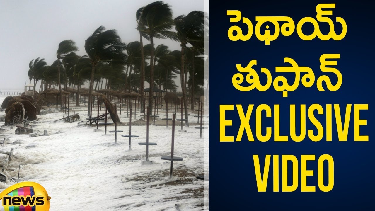 Phethai Cyclone Exclusive Video | Huge Loss for Rice Crop Farmers in AP | Pethai Cyclone Updates