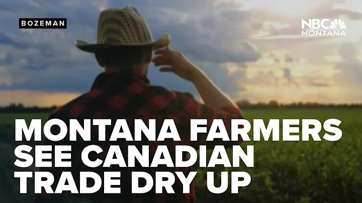 Montana farmers see Canadian trade dry up due to tariffs