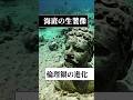【海底の生贄像】倫理観の進化#都市伝説 #架空世界