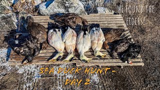 Unforgettable Sea Duck Hunt ~ Part 2 of 2 ~ We Found The Eider!