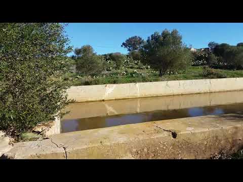 جبل بني سيدال عودة المياه إلى مجاريها ومناظر طبيعية جميلة جدا