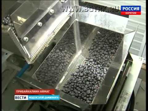 24 08 Sbb  Baigal gotov