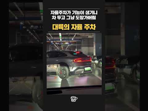 대륙의 자동주차 빌런