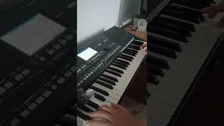 Hora Mi Minor #music #romania #piano #keyboard #acordeon