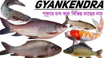 পুকুরে চাষ করা বিভিন্ন মাছের নাম | Educational videos for kids in Bengali and English | Kids videos