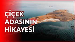 Akarca Çiçek Adası'nın Hikayesi  #seferihisar Resimi