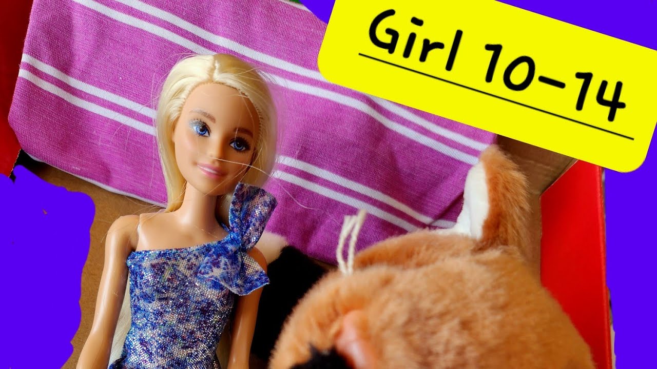 Cats & Barbie Shoebox - Girl 10-14 with Operation Christmas Child