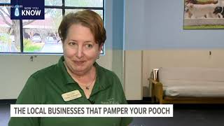 A look inside some Houston businesses that offer the finest for your fur-babies
