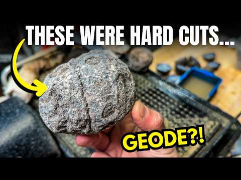 I Bought Coconut Geodes off the Internet... Disappointing or Amazing?