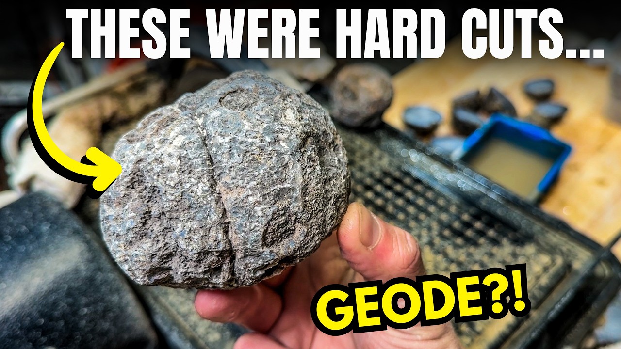 I Bought Coconut Geodes off the Internet Disappointing or