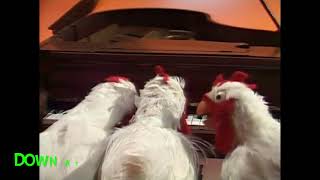 Muppet Songs: Chickens - Down at Papa Joe's