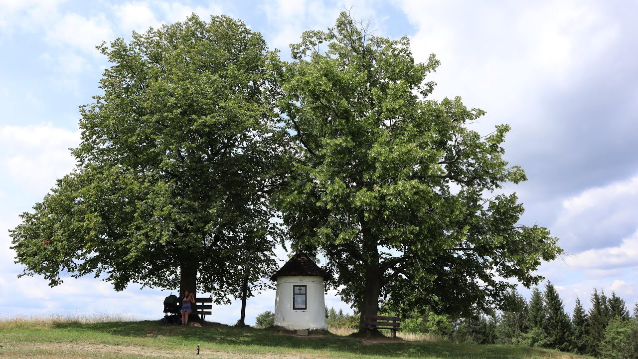 Velké Karlovice a okolí  21.7. - 24.7.2024