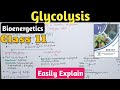 Glycolysis | Preparatory And Oxidative Phases In Urdu Hindi Class 11