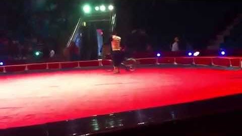 58,dich vụ xiếc ảo thuật,xiếc thú,cung cấp mc hề,hề hài ảo thuật Hót clip vui hay hài hước 2014