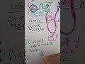 Diuretics actions in different parts of nephrons #diuretics #nursingstudent #nursingclasses