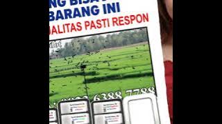 Awi Club Indonesia Guru Konsultan Walet, Ahlinya Suara Walet, Rajanya Editor.