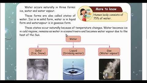 Samacheer Kalvi - Class 4 - EVS - Term 2 - Unit 2 - Water - With Answers