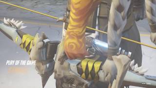 Hanzo Accidental Kills POTG
