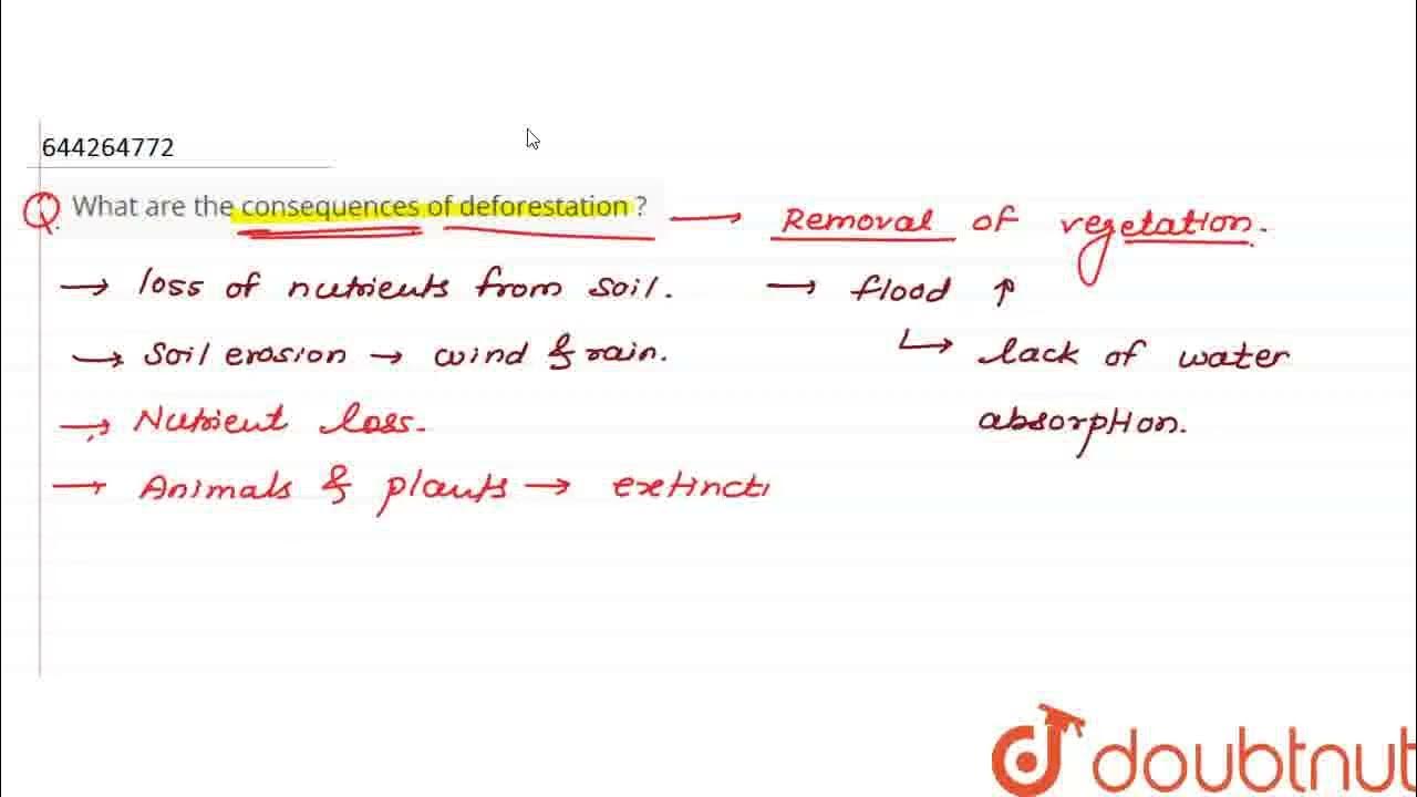 what-are-the-consequences-of-deforestation-class-8-conservation