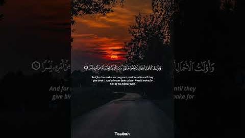 سورة : الطلاق | القارئ : علاء عقل .