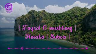 Faysal Cumar Mushteeg Heesta Subcis Astaan Music 2020