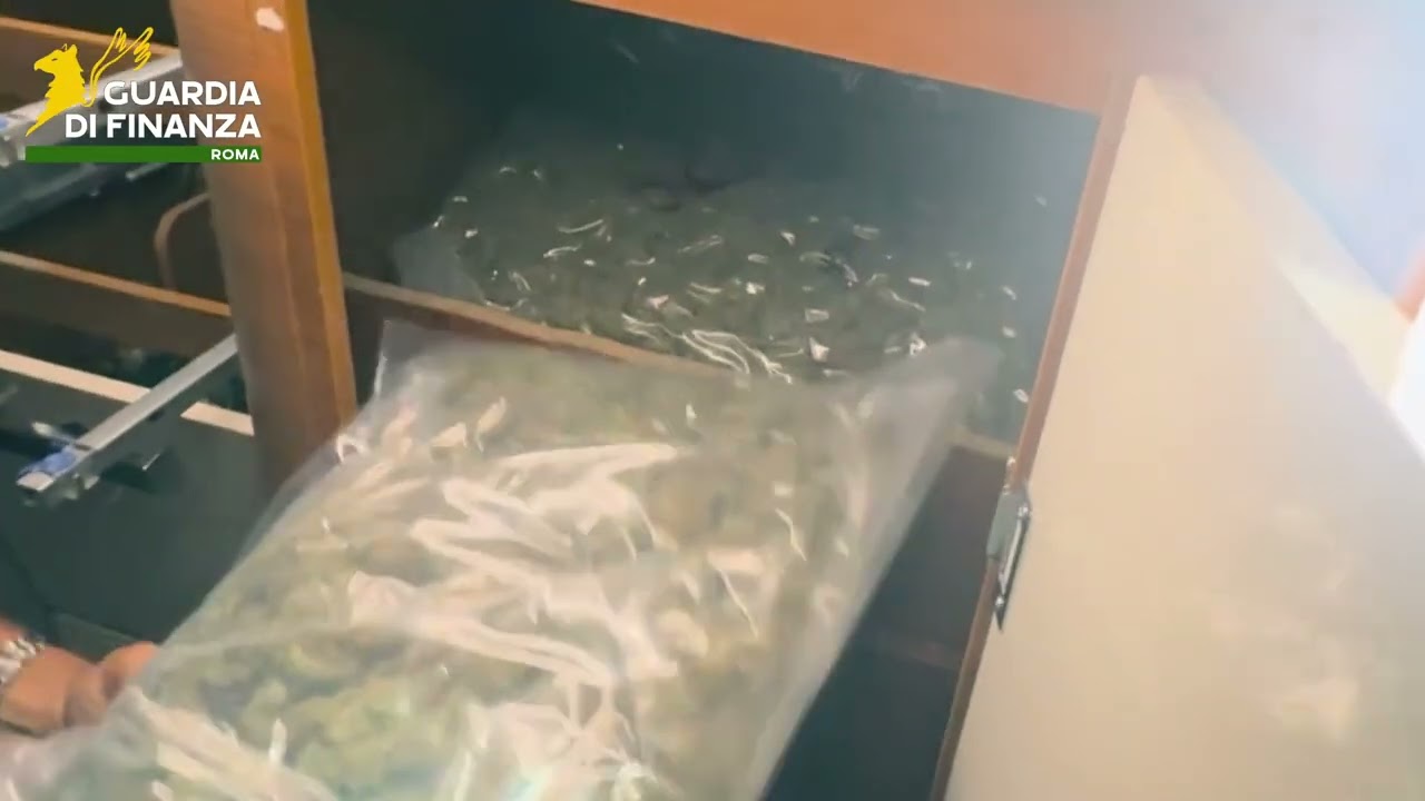 YouTube player