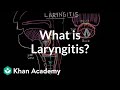 What is laryngitis ? | Respiratory system diseases | NCLEX-RN | Khan Academy