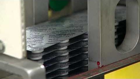 Stephen Buchwald, 2014 BBVA Foundation Frontiers of Knowledge Award in Basic Sciences