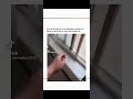 #funny Cat hits window