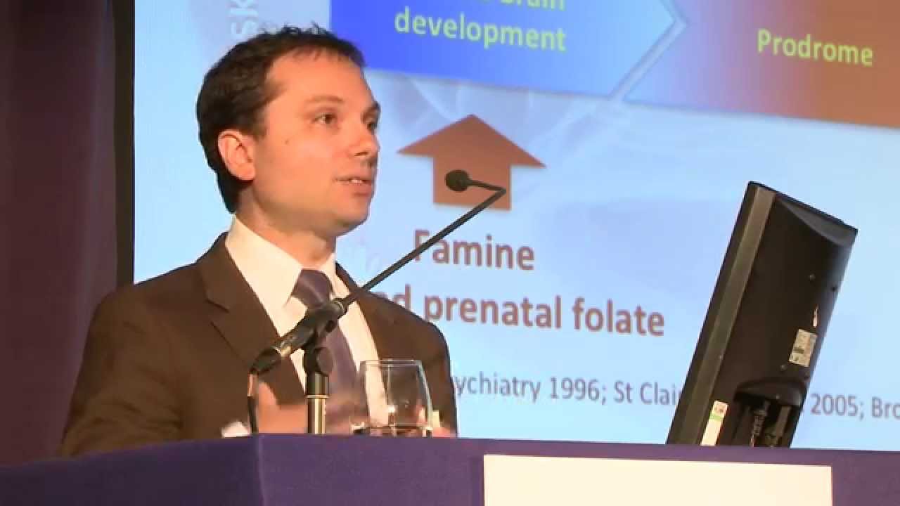 Dr Roffman Folic Acid and the potential prevention of schizophrenia: Dr Roffman ...